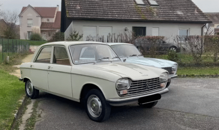 Peugeot 204