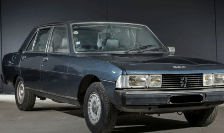 Peugeot 305