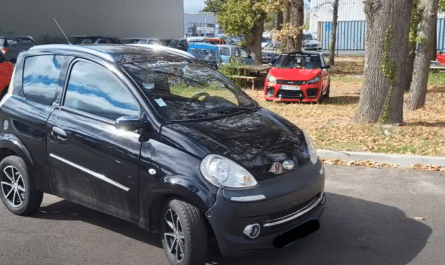 voiture sans permis