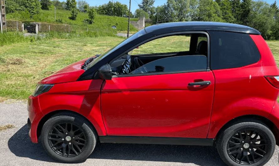 Moteur Yanmar pour voiture sans permis : performances et durée de vie