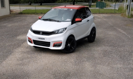 voiture sans permis
